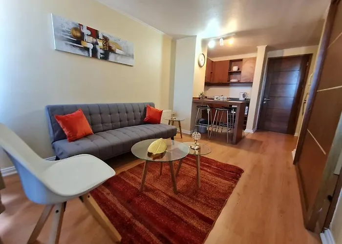Apartamento Amoblado Concepcion